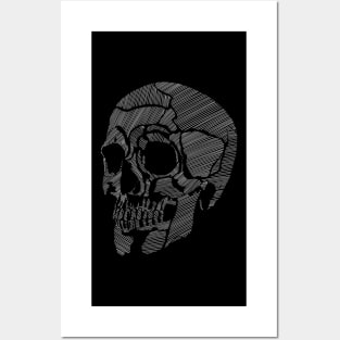 Lines of a Skull Posters and Art
